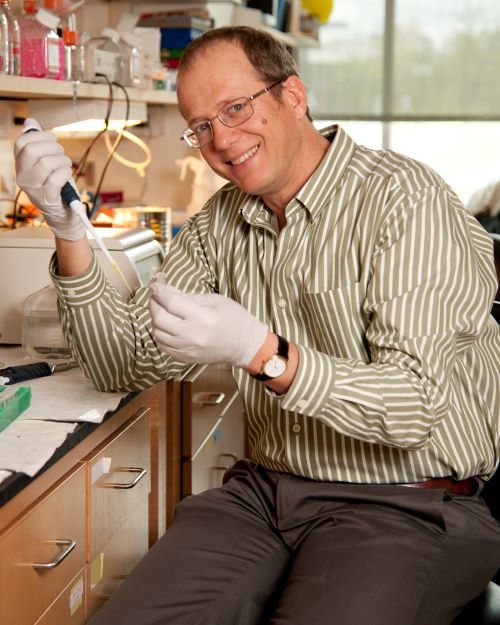 Dr. Greg Dressler working in his lab.